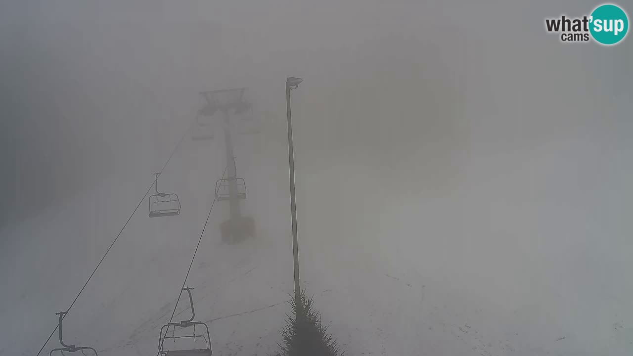 Web Camera Pohorje Trikotna Jasa | Poštela