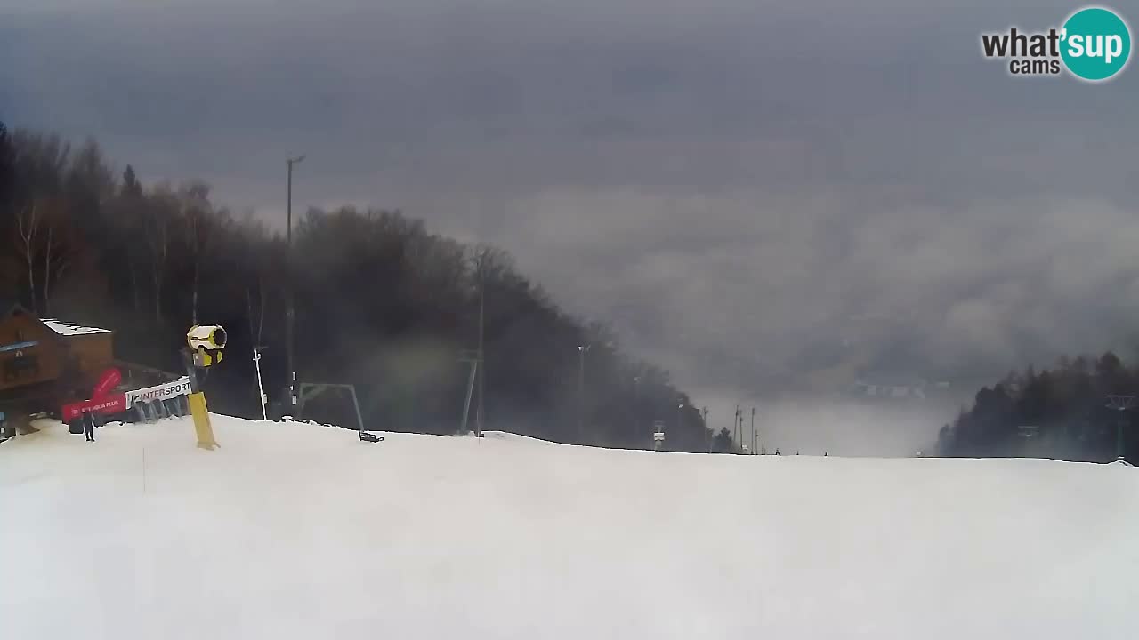 Webcam Pohorje Trikotna Jasa | Poštela