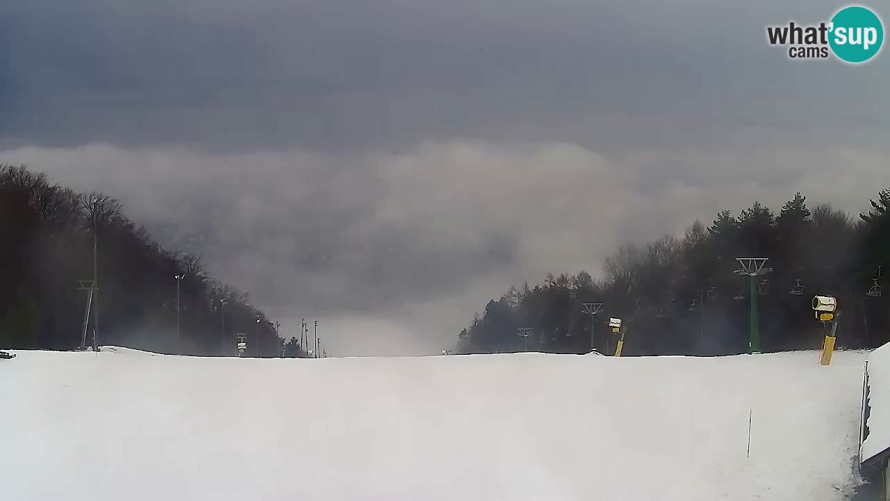 Spletna Kamera Pohorje Trikotna Jasa | Poštela