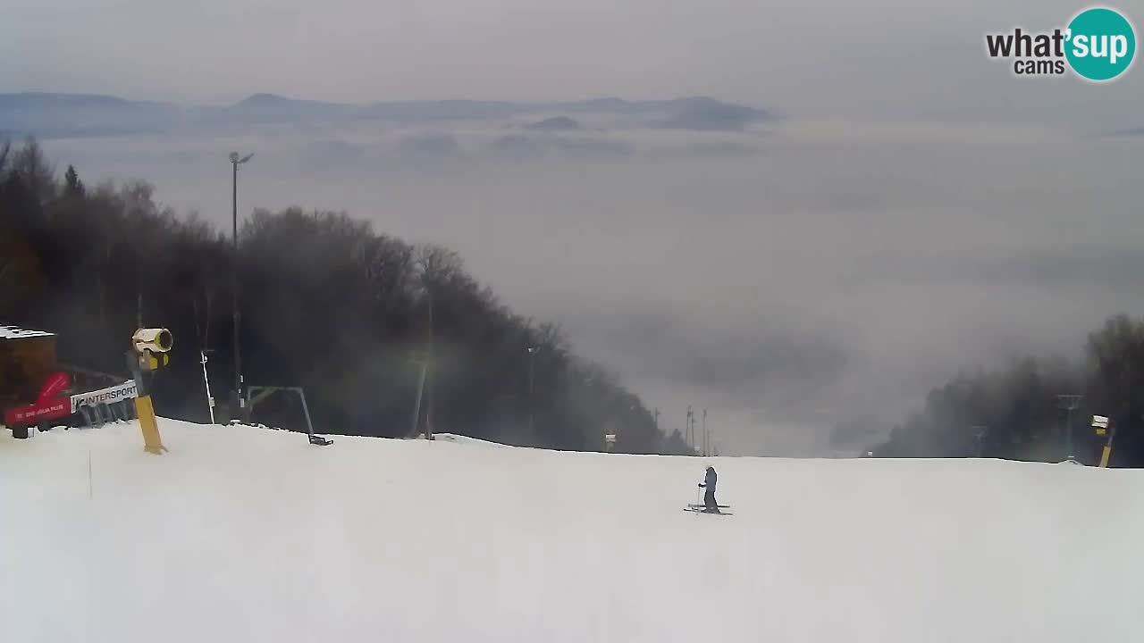 Web Camera Pohorje Trikotna Jasa | Poštela