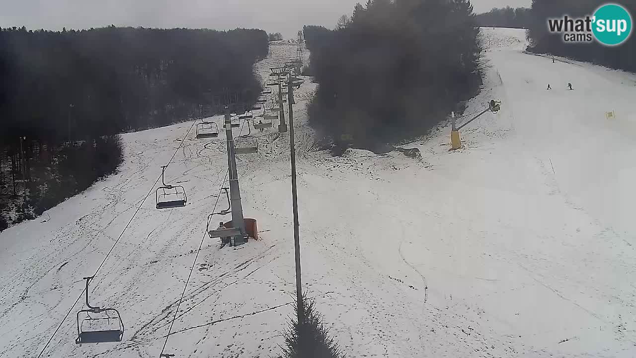 Webcam Pohorje Trikotna Jasa | Poštela