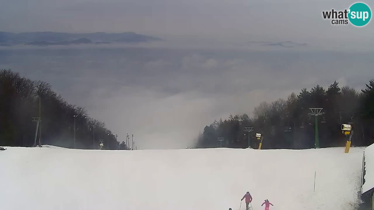 Web Camera Pohorje Trikotna Jasa | Poštela