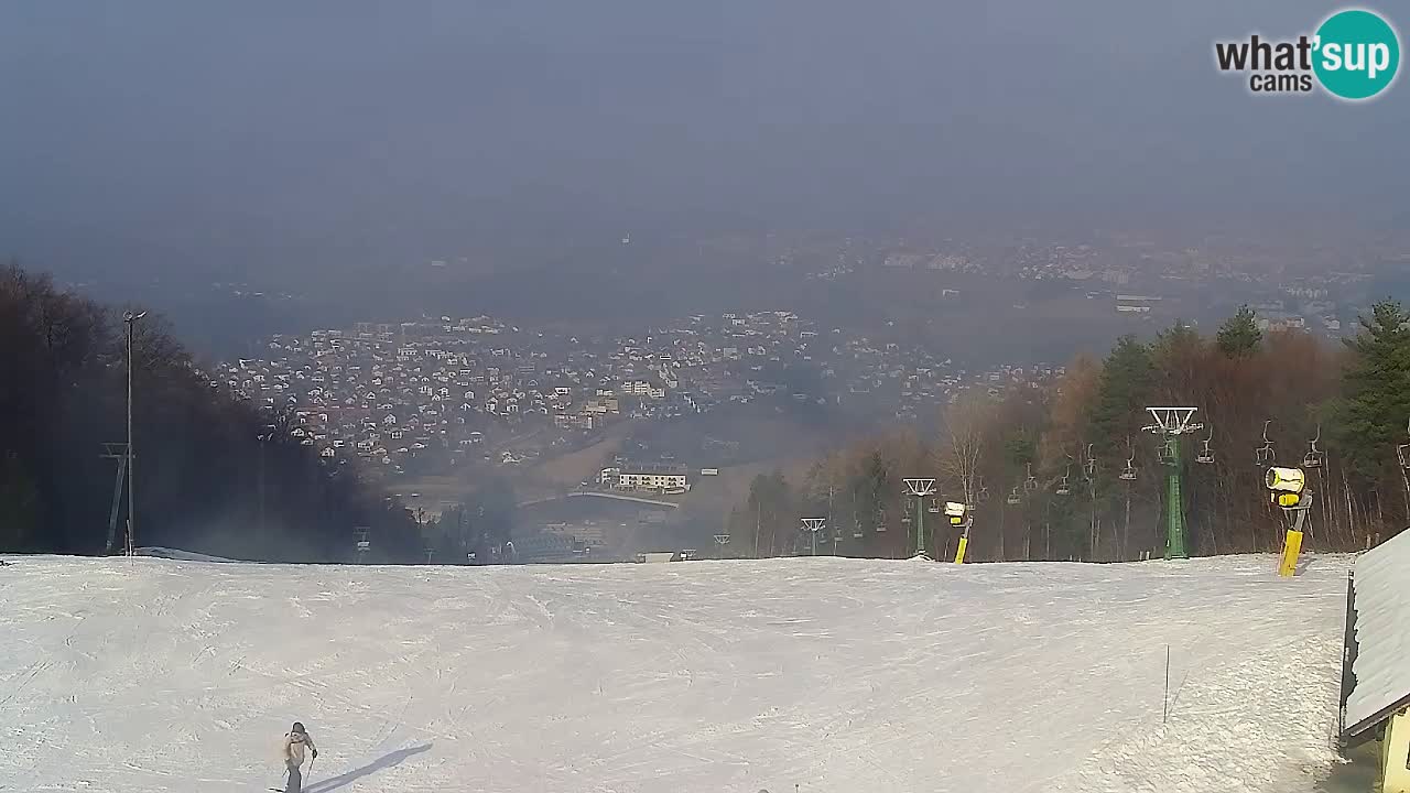 Webcam Pohorje Trikotna Jasa | Poštela