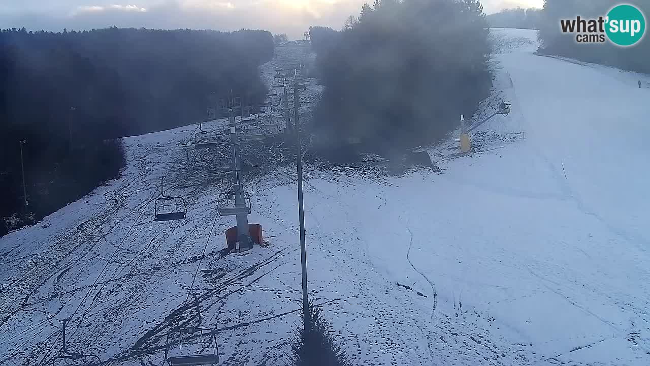 Webcam Pohorje Trikotna Jasa | Poštela