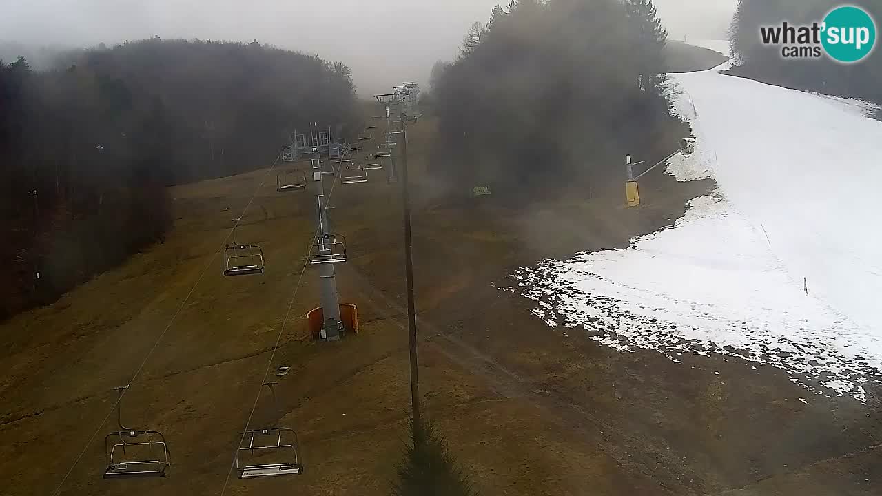 Webcam Pohorje Trikotna Jasa | Poštela