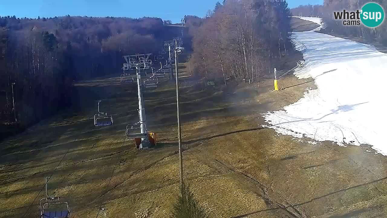 Webcam Pohorje Trikotna Jasa | Poštela