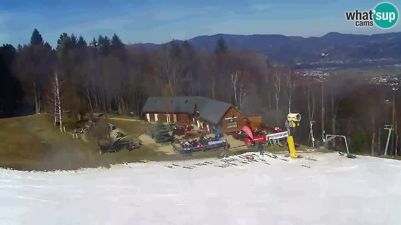 Web Camera Pohorje Trikotna Jasa | Poštela