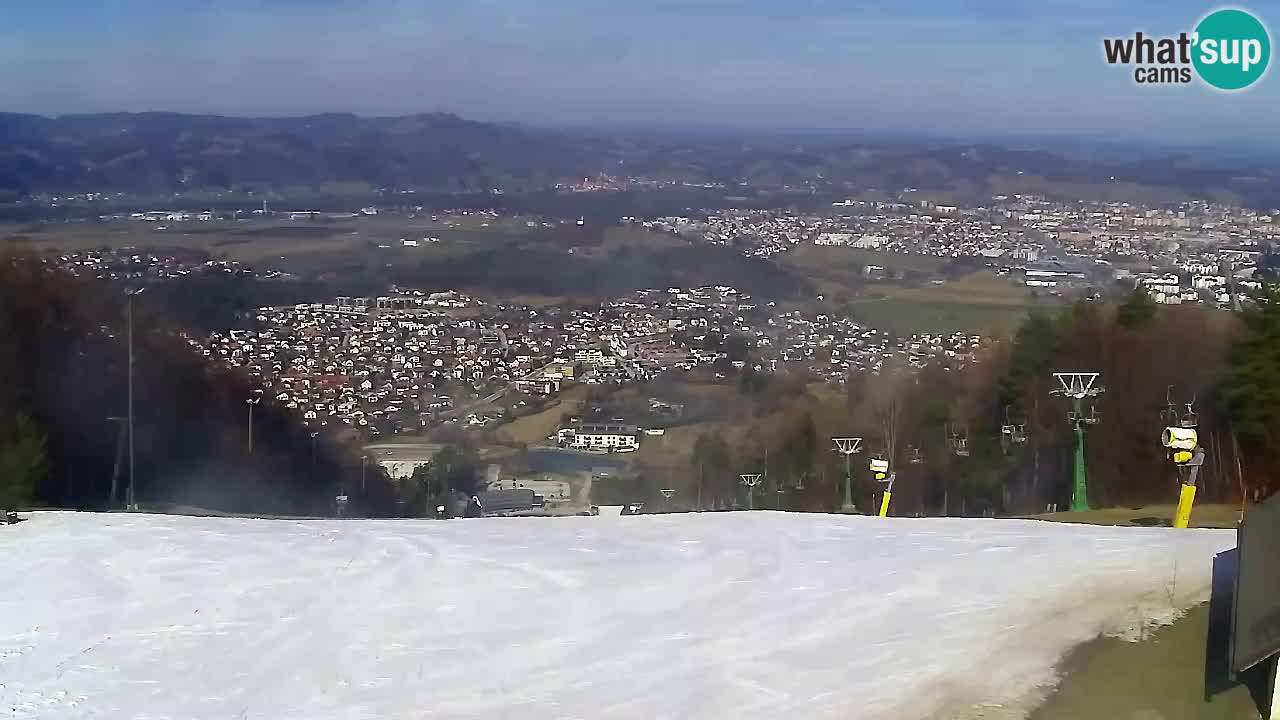 Webcam Pohorje Trikotna Jasa | Poštela