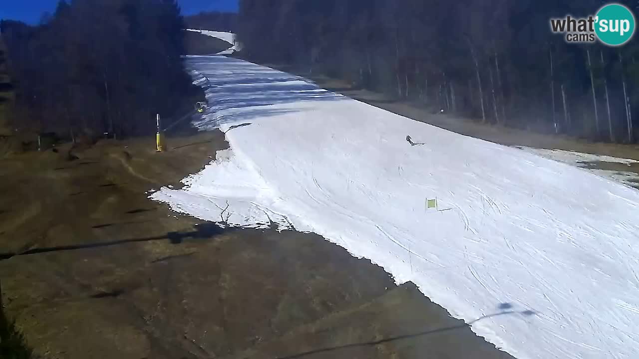 Webcam Pohorje Trikotna Jasa | Poštela