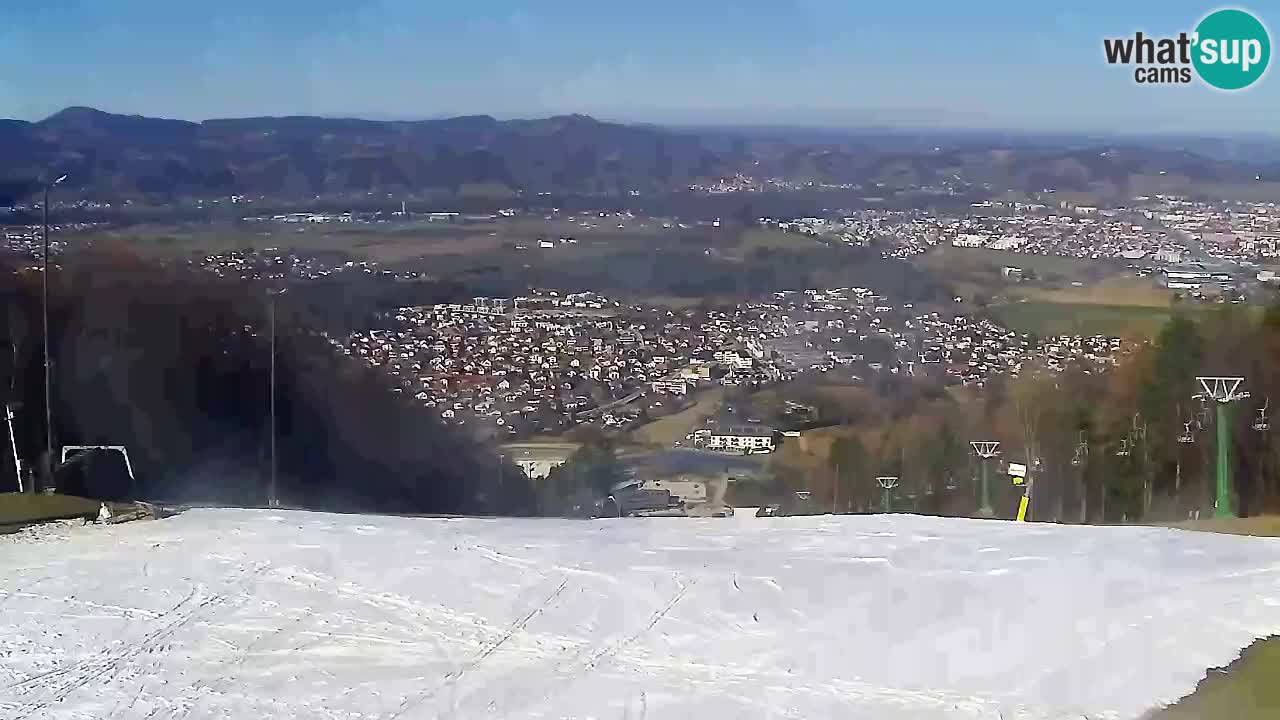 Webcam Pohorje Trikotna Jasa | Poštela