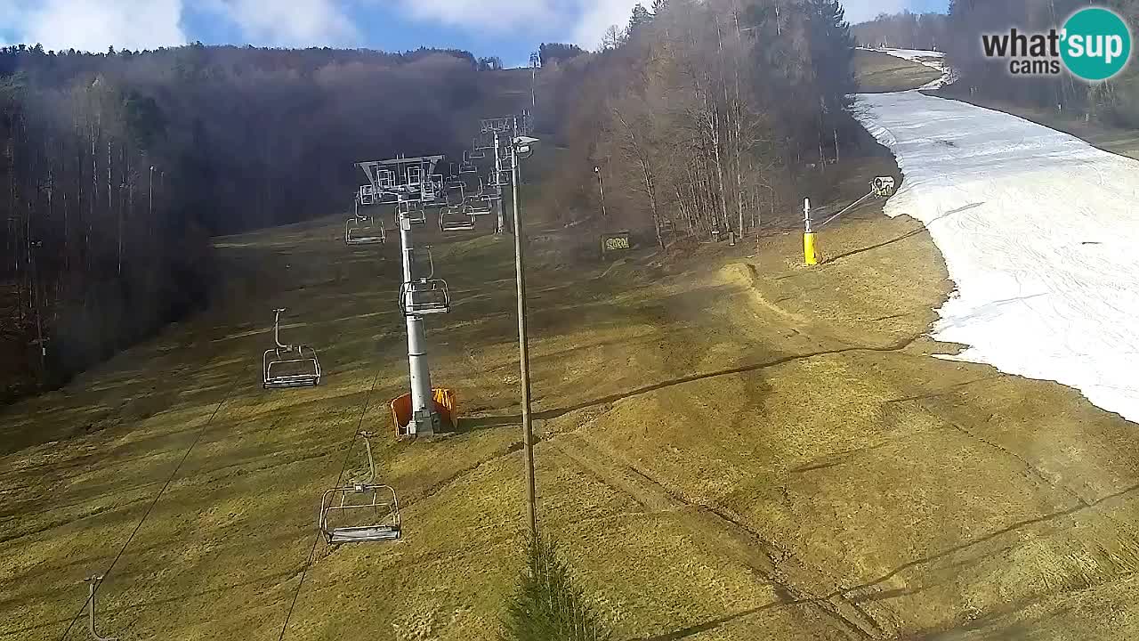 Web Camera Pohorje Trikotna Jasa | Poštela