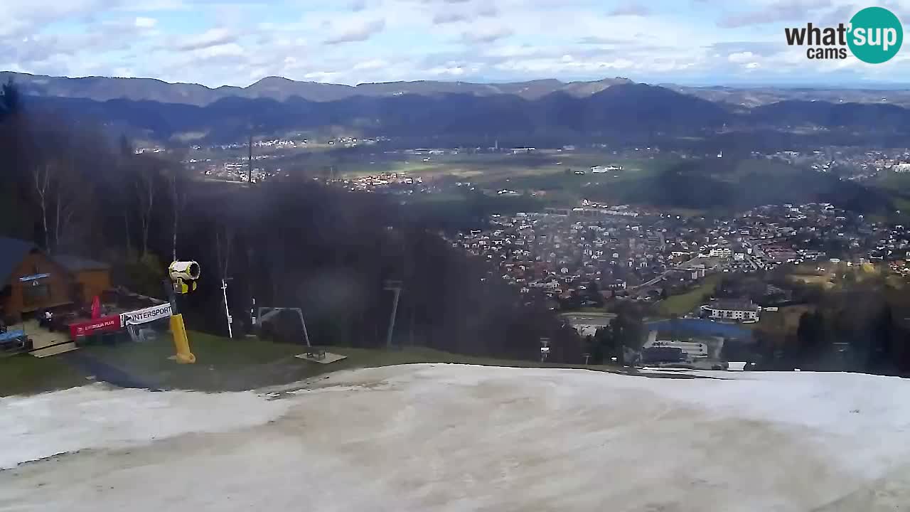 Webcam Pohorje Trikotna Jasa | Poštela