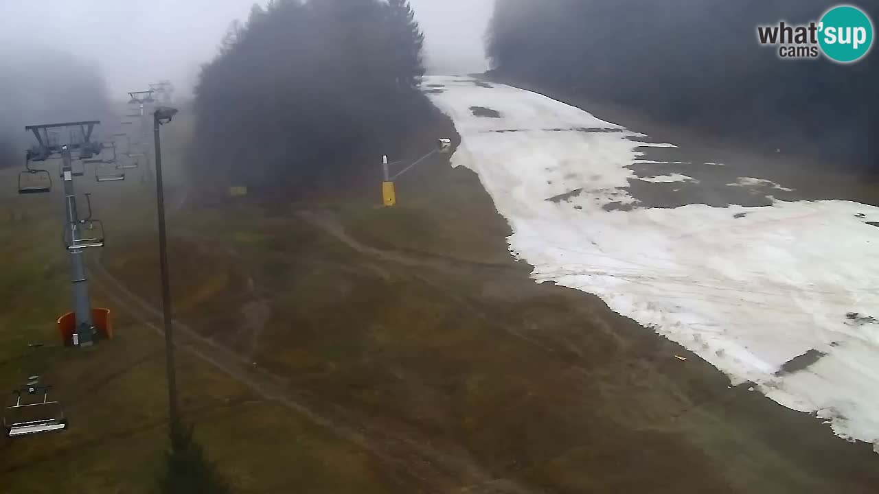 Webcam Pohorje Trikotna Jasa | Poštela