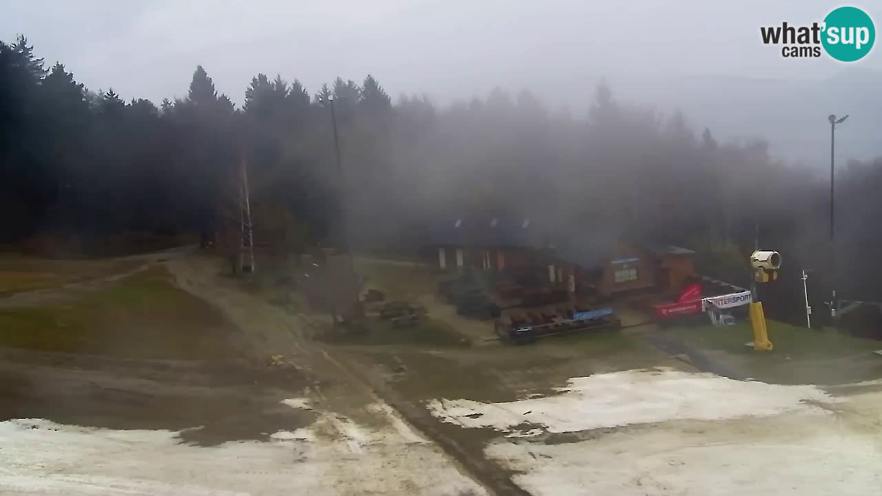 Webcam Pohorje Trikotna Jasa | Poštela