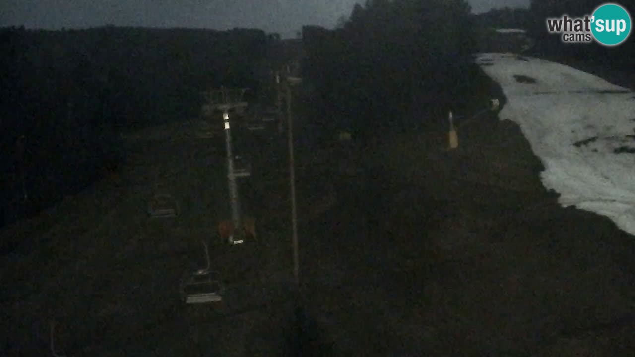 Webcam Pohorje Trikotna Jasa | Poštela