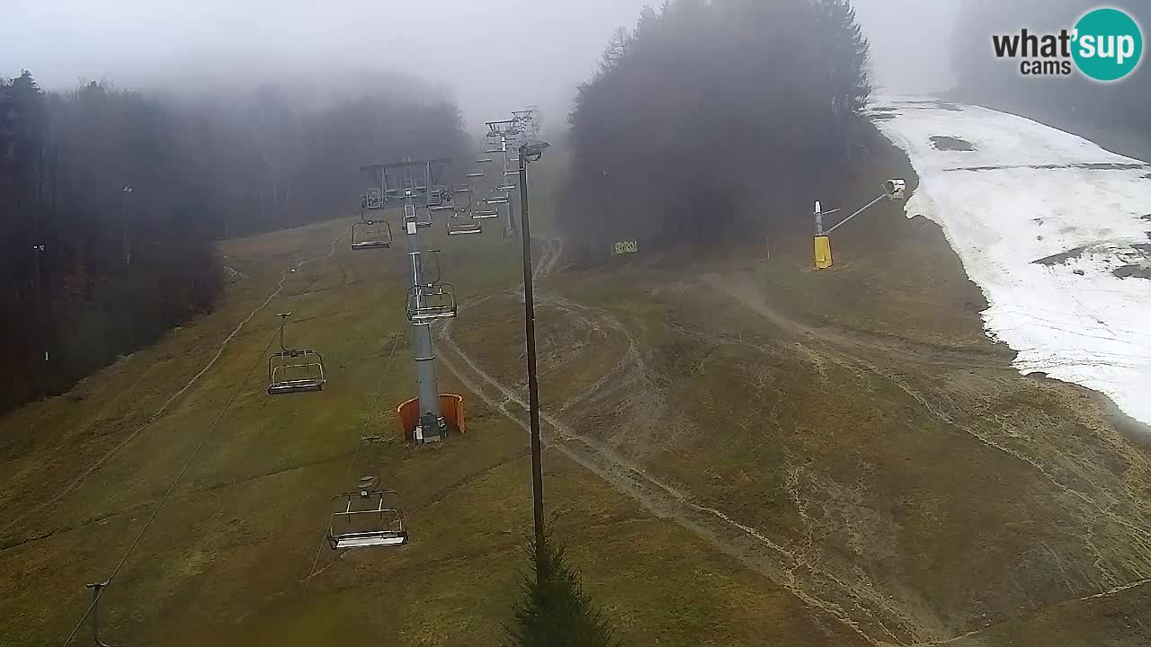 Web Camera Pohorje Trikotna Jasa | Poštela