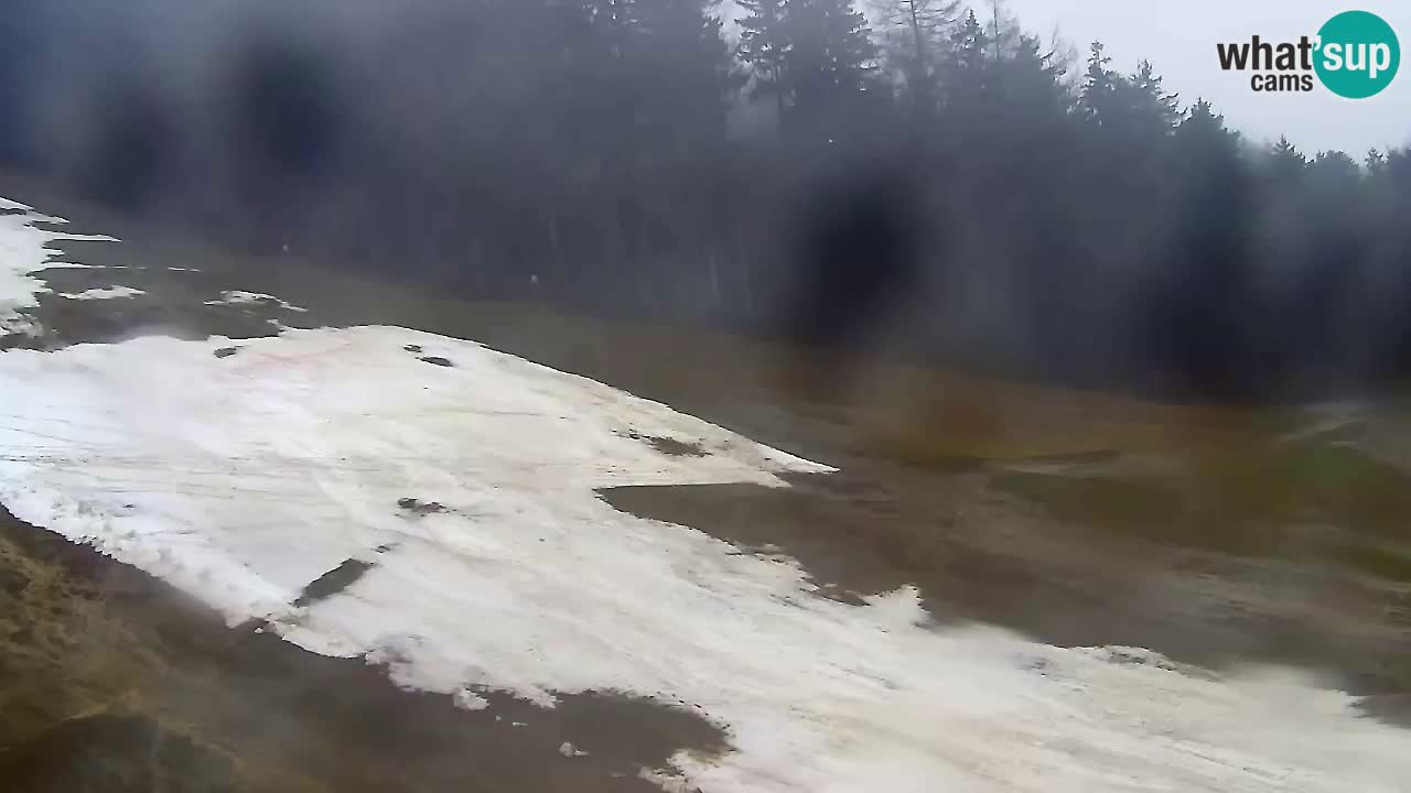 Webcam Pohorje Trikotna Jasa | Poštela