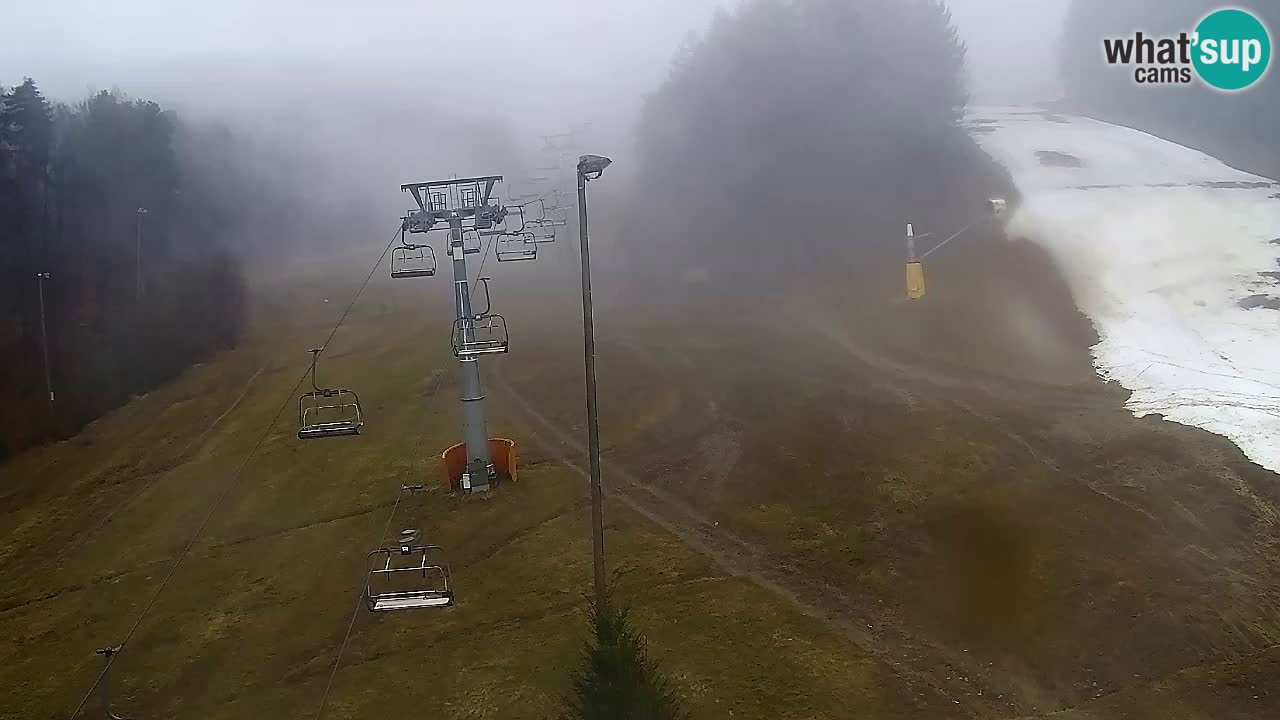 Webcam Pohorje Trikotna Jasa | Poštela