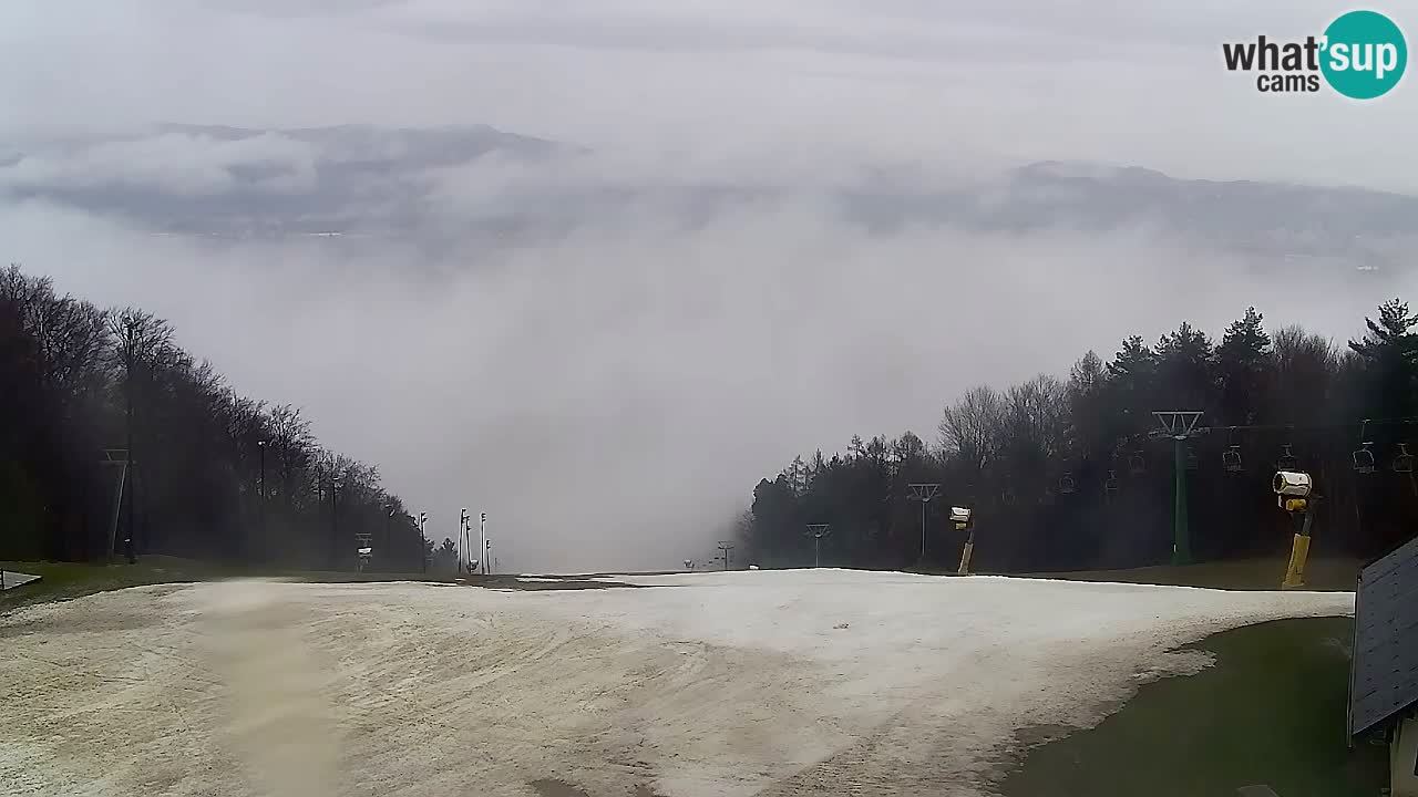 Spletna Kamera Pohorje Trikotna Jasa | Poštela