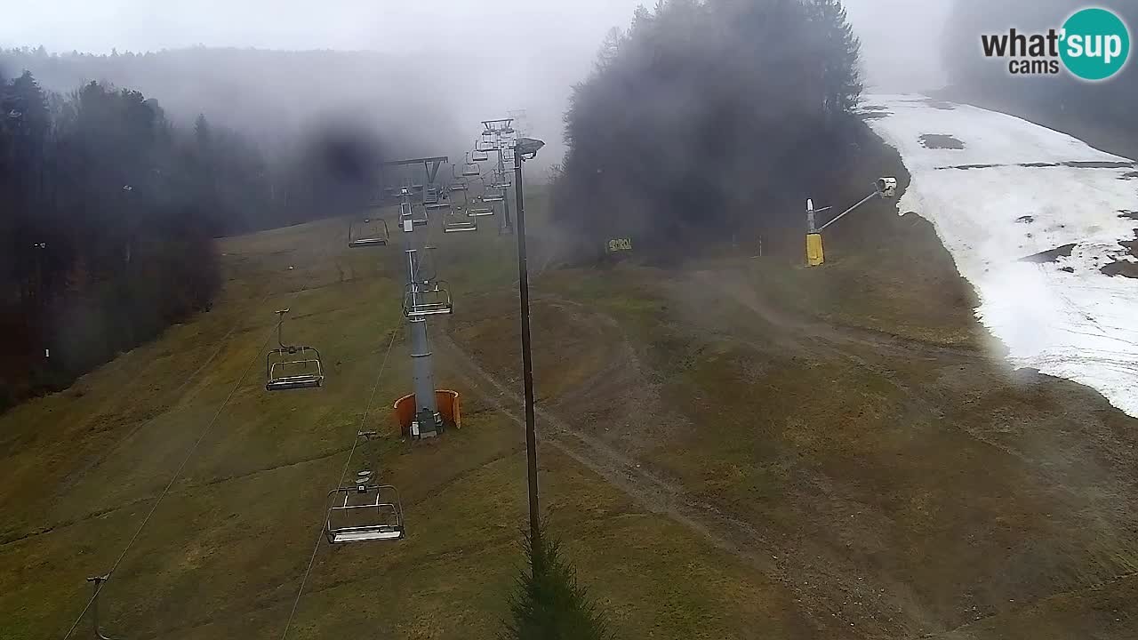 Webcam Pohorje Trikotna Jasa | Poštela