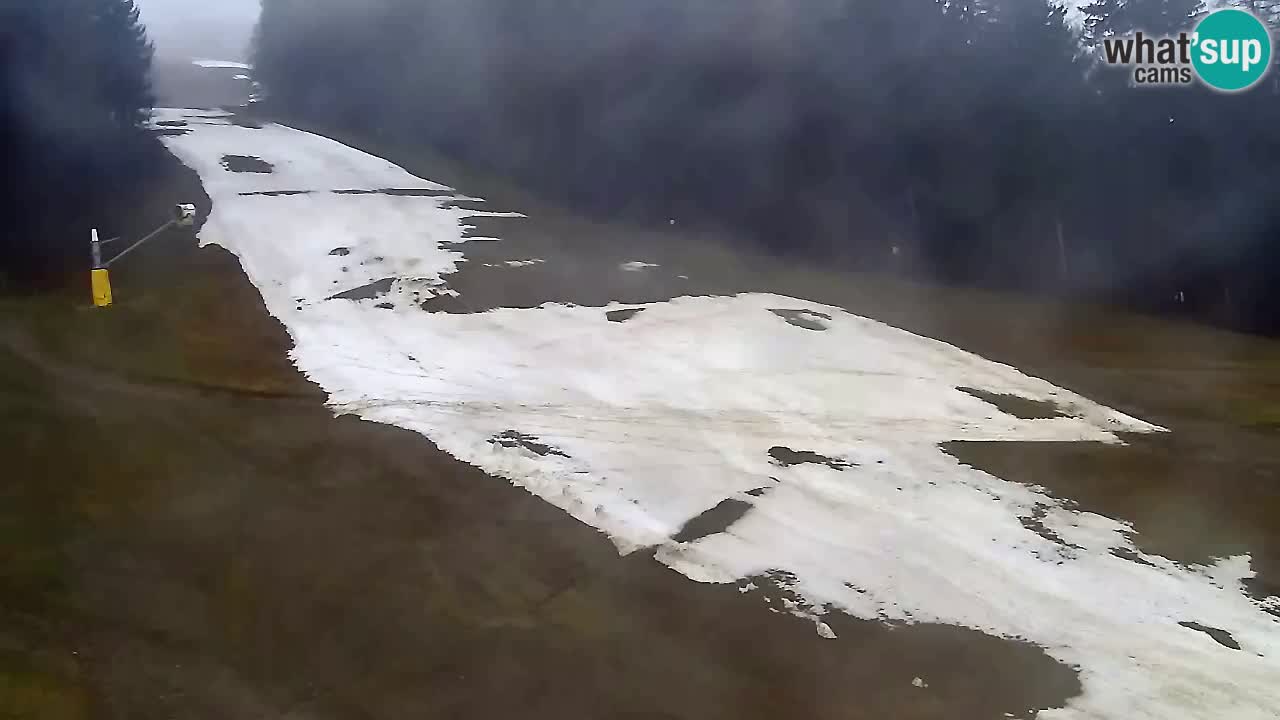 Webcam Pohorje Trikotna Jasa | Poštela