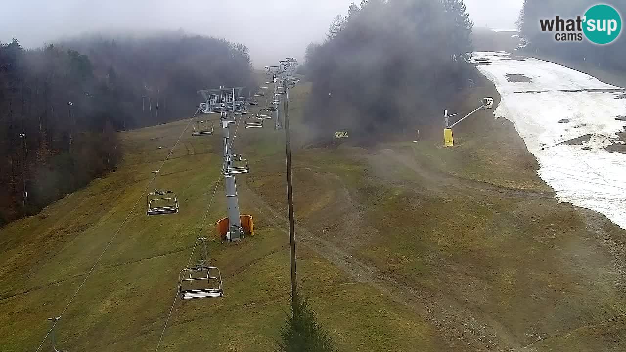 Webcam Pohorje Trikotna Jasa | Poštela