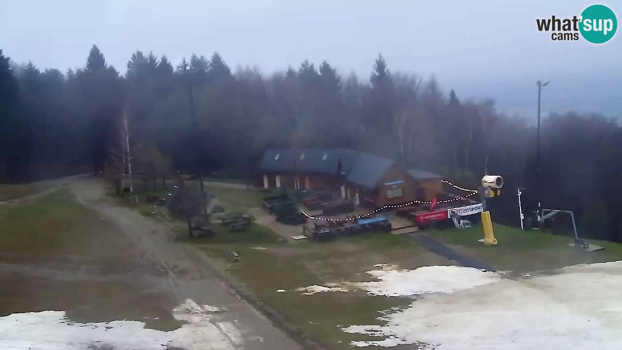 Webcam Pohorje Trikotna Jasa | Poštela