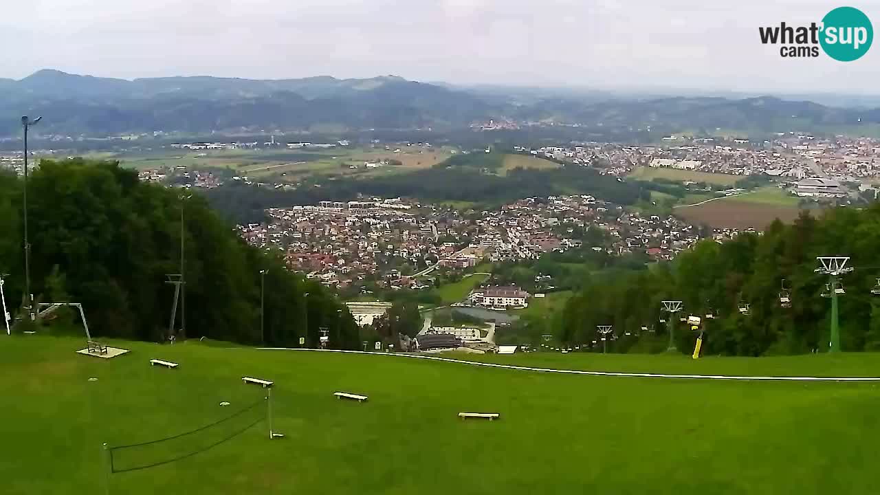 Webcam Pohorje Trikotna Jasa | Poštela