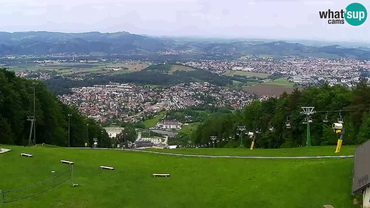 Webcam Pohorje Trikotna Jasa | Poštela