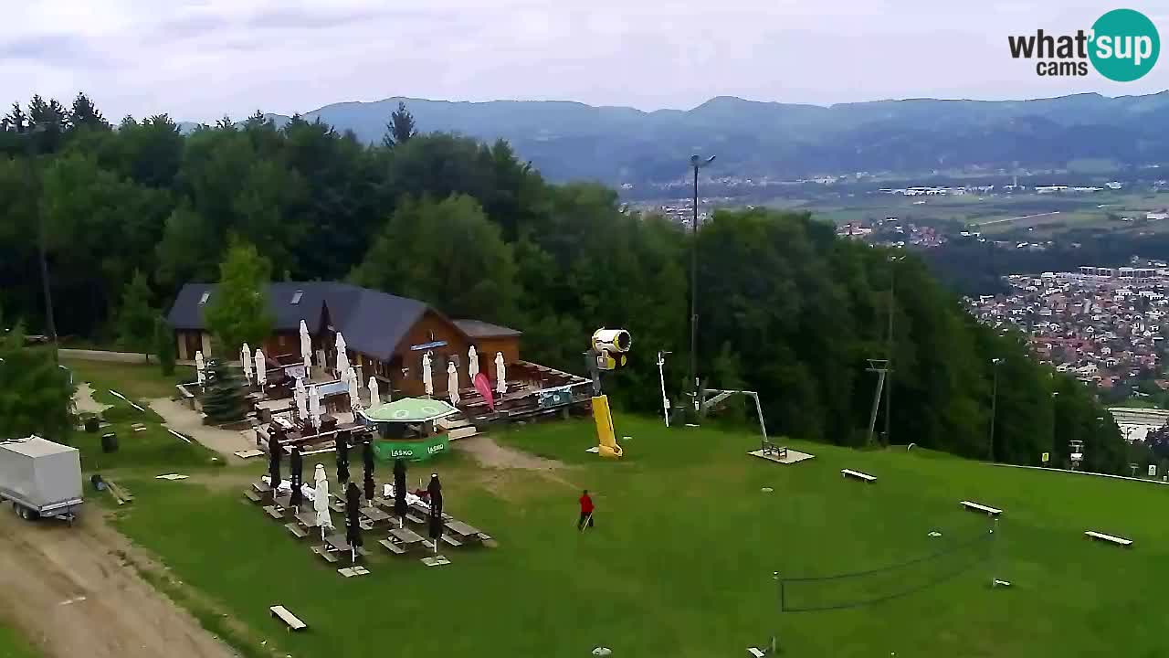 Web Camera Pohorje Trikotna Jasa | Poštela