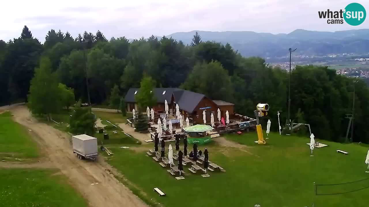 Webcam Pohorje Trikotna Jasa | Poštela
