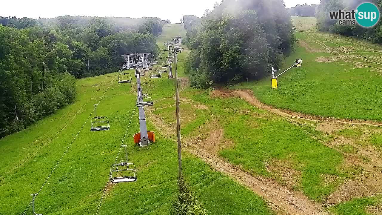 Webcam Pohorje Trikotna Jasa | Poštela