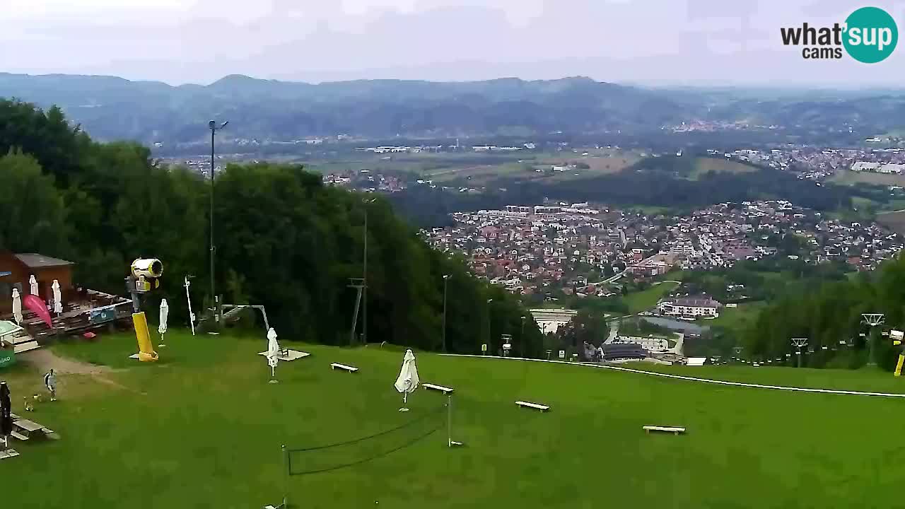 Web Camera Pohorje Trikotna Jasa | Poštela