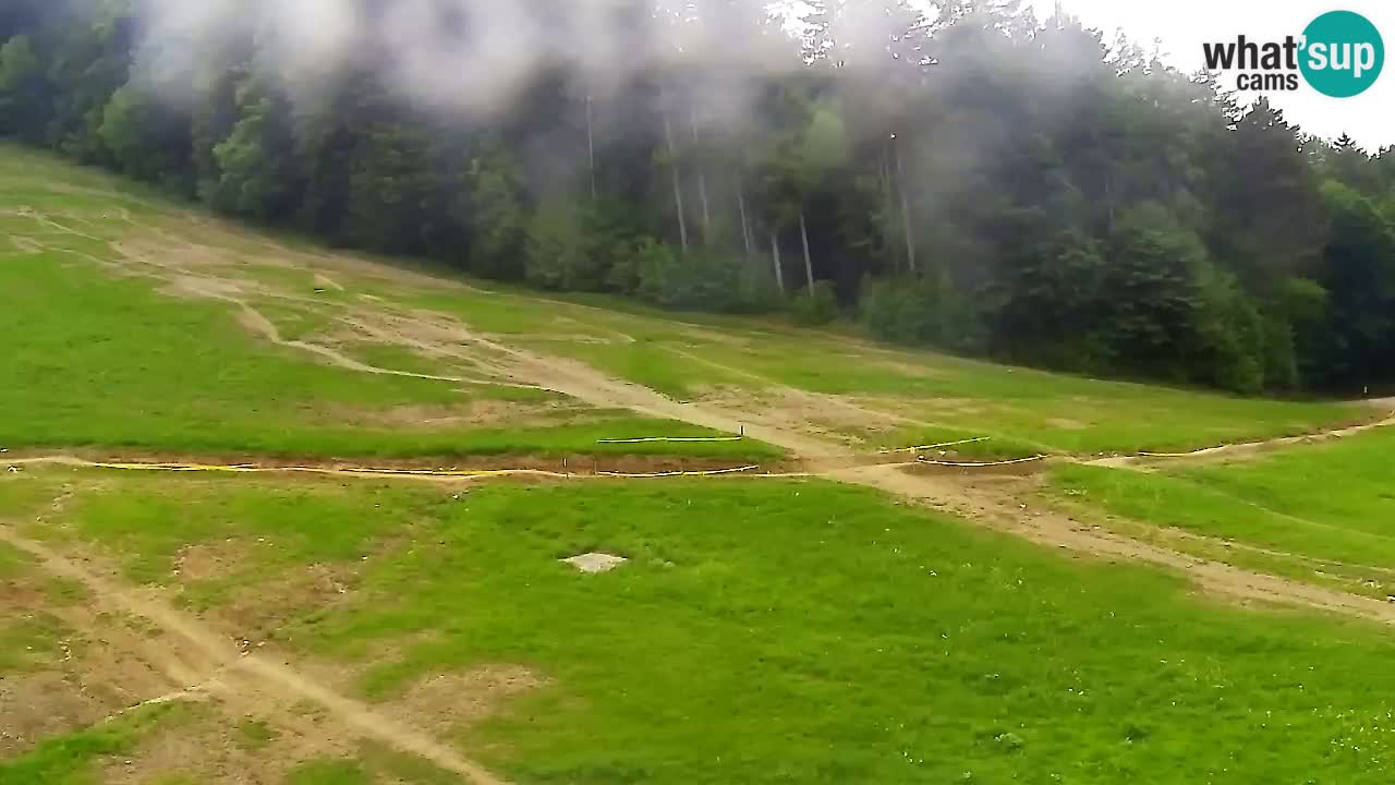 Webcam Pohorje Trikotna Jasa | Poštela