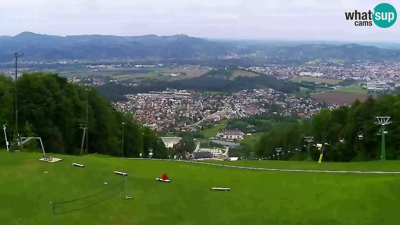 Webcam Pohorje Trikotna Jasa | Poštela