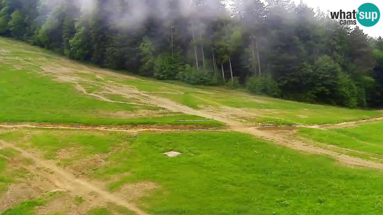 Webcam Pohorje Trikotna Jasa | Poštela