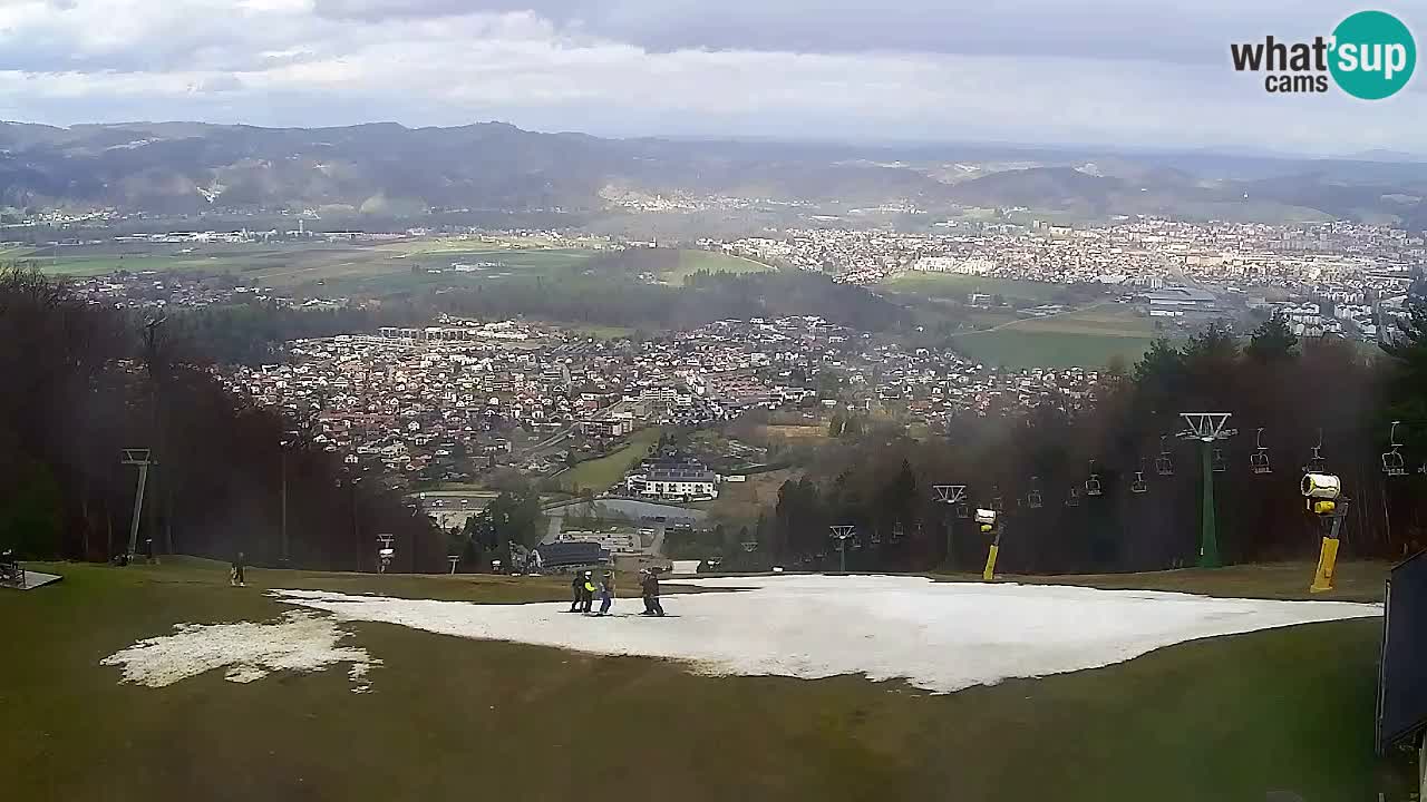 Webcam Pohorje Trikotna Jasa | Poštela