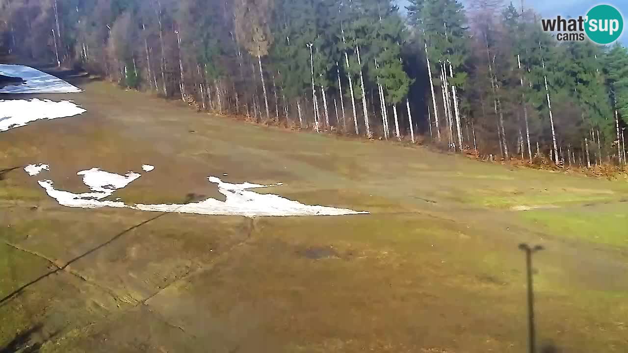 Webcam Pohorje Trikotna Jasa | Poštela