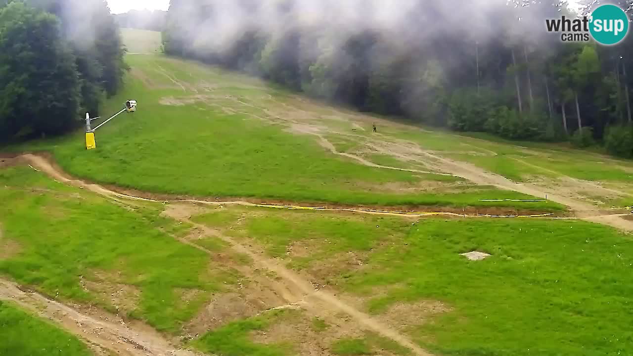 Web Camera Pohorje Trikotna Jasa | Poštela