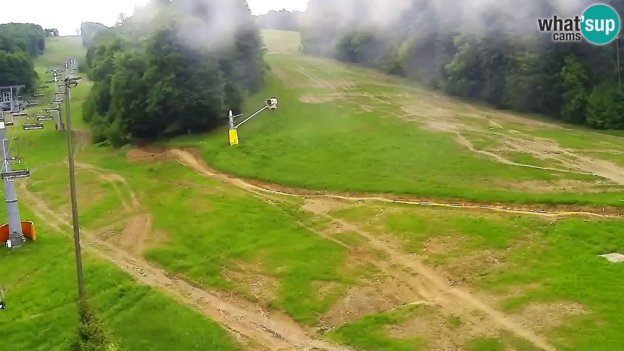 Webcam Pohorje Trikotna Jasa | Poštela