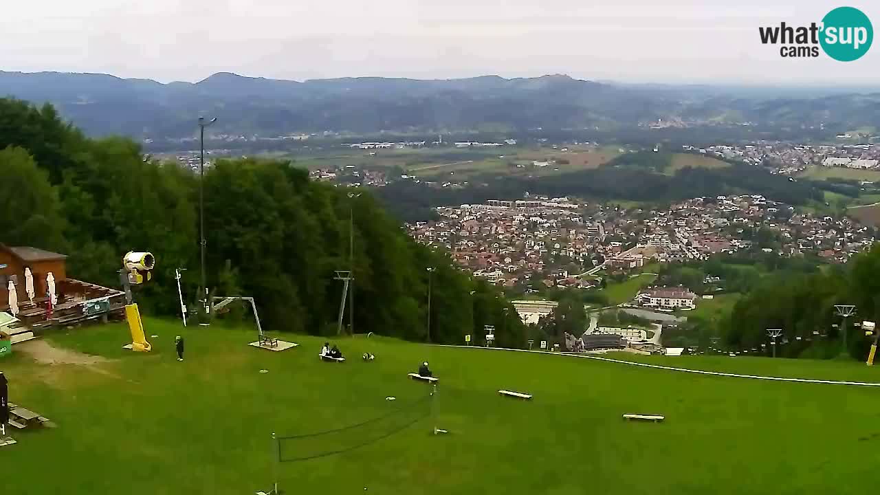 Webcam Pohorje Trikotna Jasa | Poštela