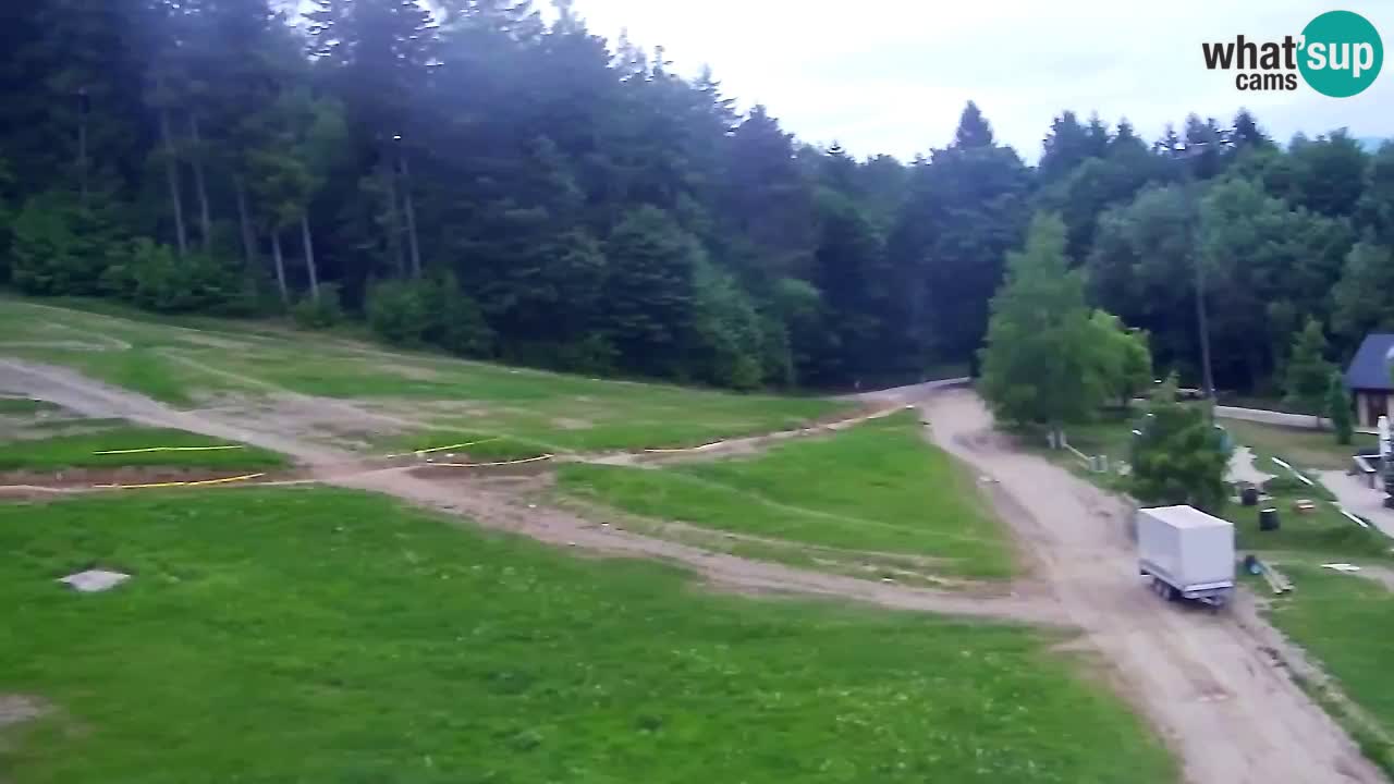 Webcam Pohorje Trikotna Jasa | Poštela