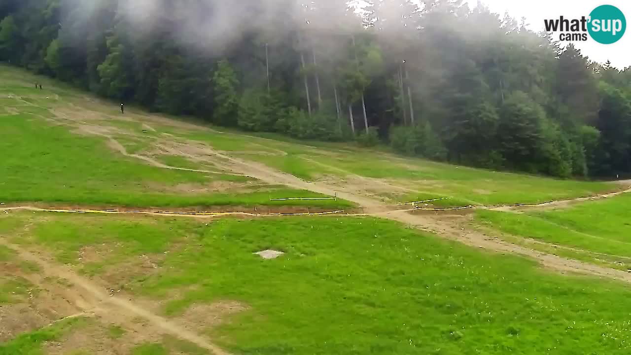 Webcam Pohorje Trikotna Jasa | Poštela