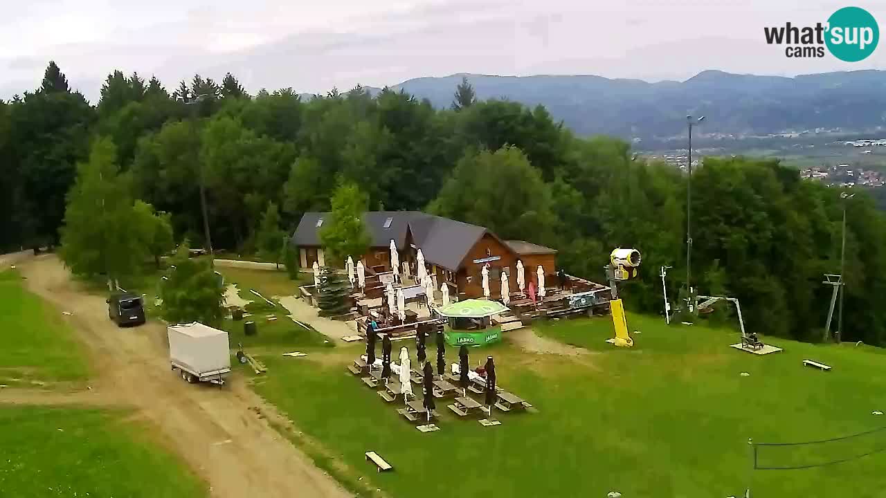 Webcam Pohorje Trikotna Jasa | Poštela