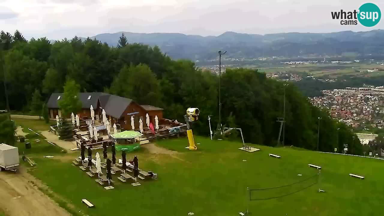 Webcam Pohorje Trikotna Jasa | Poštela
