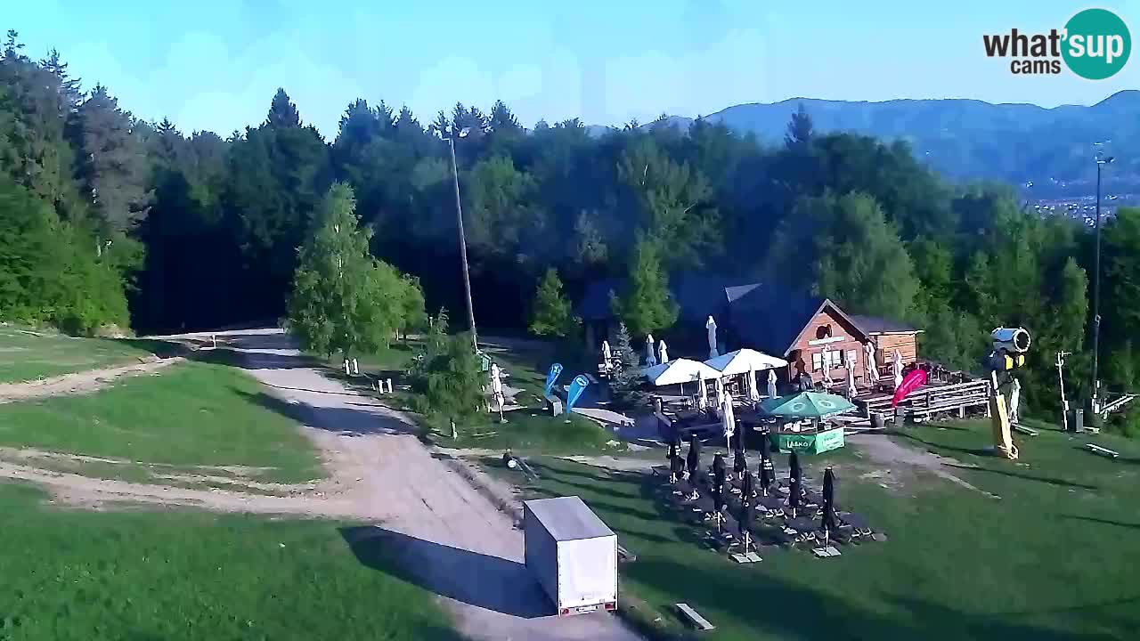 Webcam Pohorje Trikotna Jasa | Poštela