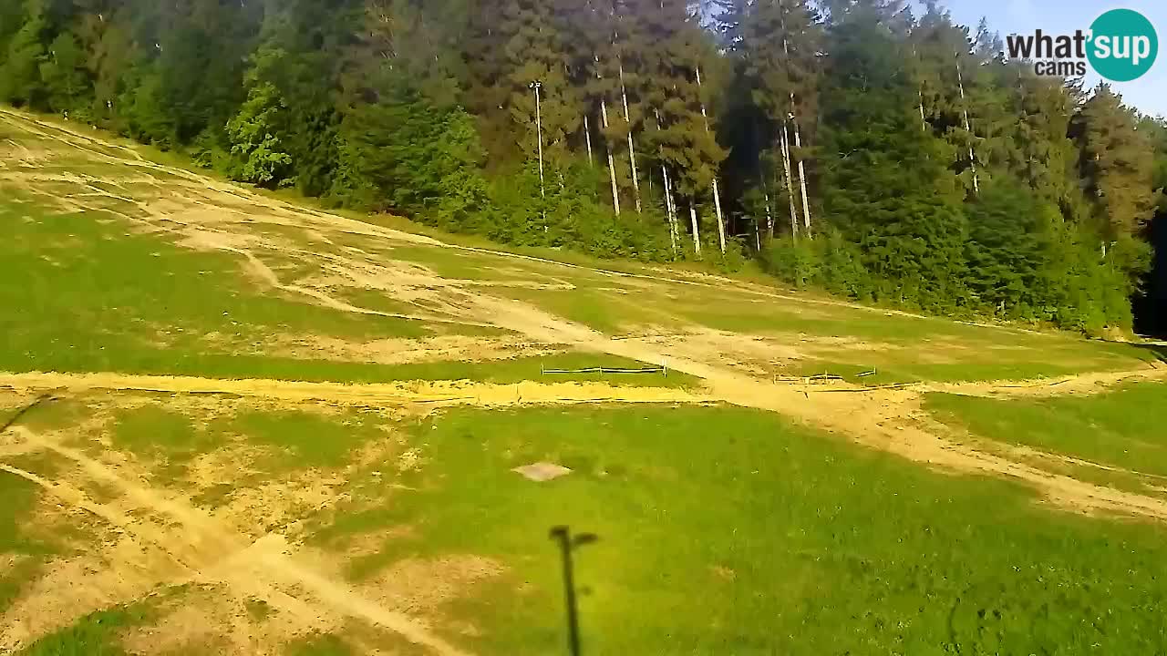 Webcam Pohorje Trikotna Jasa | Poštela