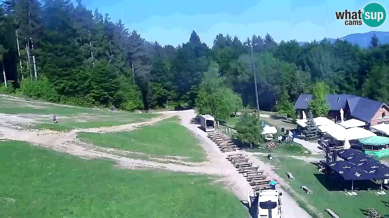 Webcam Pohorje Trikotna Jasa | Poštela