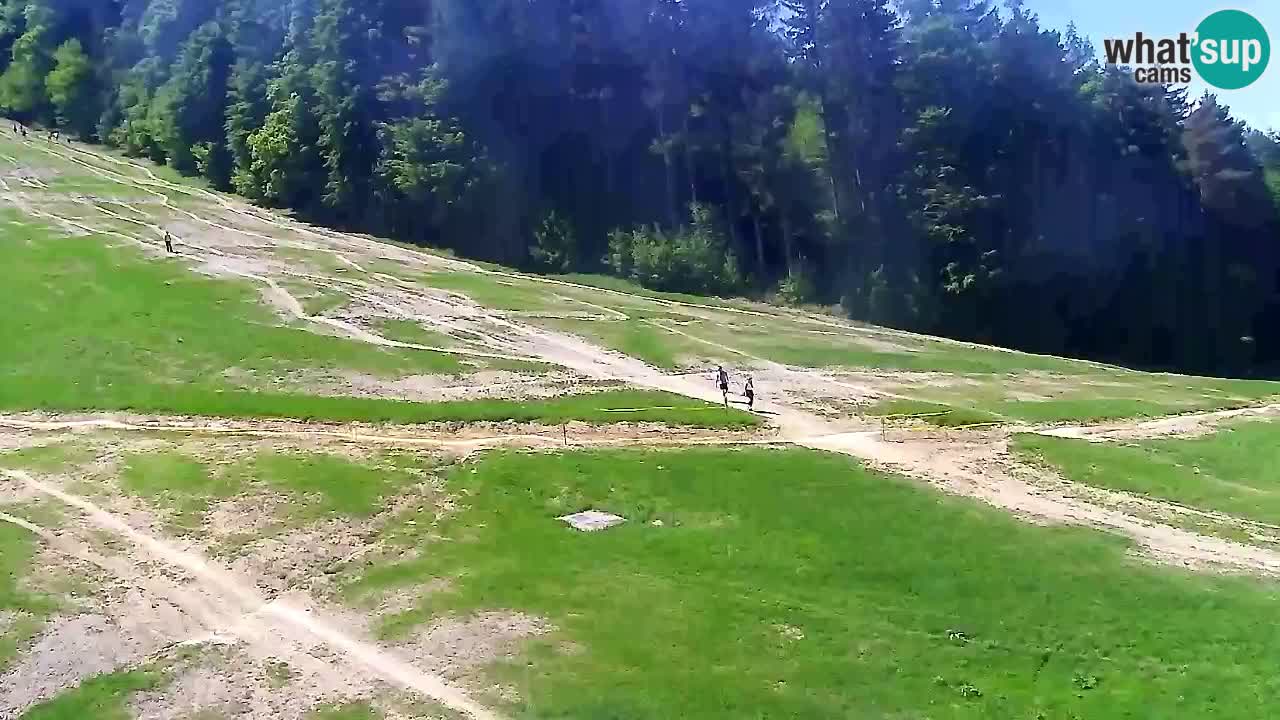 Webcam Pohorje Trikotna Jasa | Poštela
