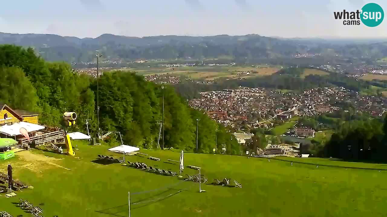 Webcam Pohorje Trikotna Jasa | Poštela